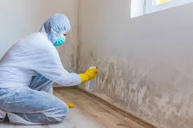 Best Forensic Mold Investigation  in Princeton, KY